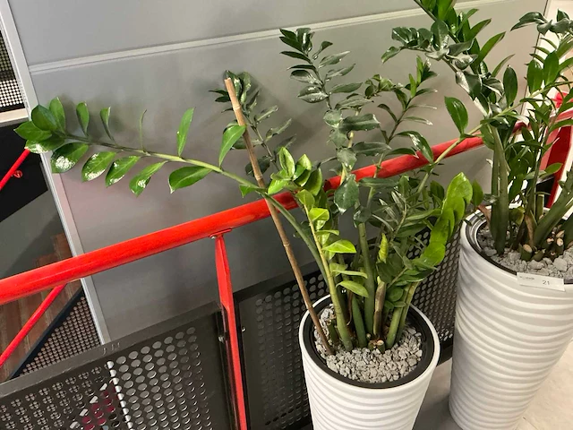Kunstplanten met pot (2x) - afbeelding 3 van  4