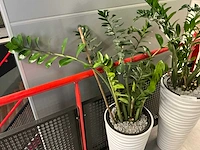 Kunstplanten met pot (2x) - afbeelding 3 van  4