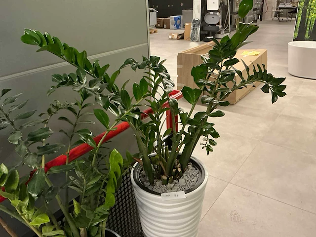 Kunstplanten met pot (2x) - afbeelding 4 van  4