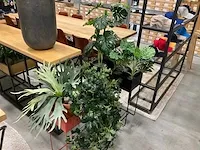 Kunstplanten met pot (3x) - afbeelding 1 van  3