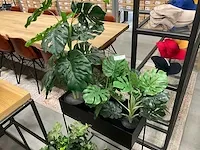 Kunstplanten met pot (3x) - afbeelding 2 van  3