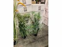 Kunstplanten met pot (5x) - afbeelding 3 van  3