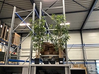 Kunstplanten met pot en 2 vazen - afbeelding 1 van  2