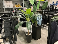 Kunstplanten met potten (2x) - afbeelding 1 van  2