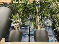 Kunstplanten met potten (3x) - afbeelding 2 van  3