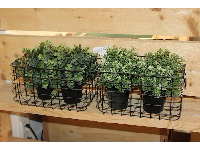 Kunstplantjes in twee manden. - afbeelding 1 van  2