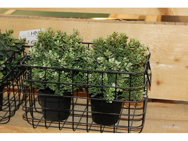 Kunstplantjes in twee manden. - afbeelding 2 van  2