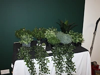 Kunstplantjes op tafel. - afbeelding 1 van  2