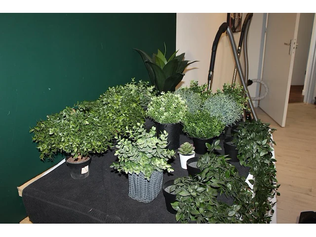Kunstplantjes op tafel. - afbeelding 2 van  2