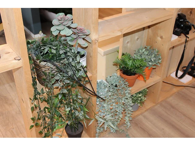 Kunstplantjes op vier schappen. - afbeelding 2 van  2