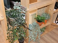 Kunstplantjes op vier schappen. - afbeelding 2 van  2
