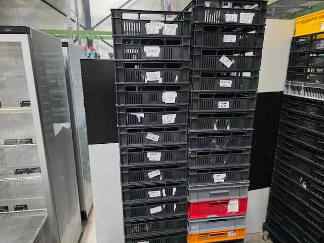 Kunststof krat (32x) - afbeelding 1 van  3