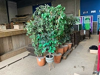 Kunststof plant in pot (10x) - afbeelding 1 van  4