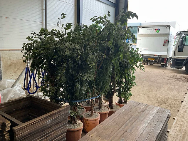 Kunststof plant in pot (10x) - afbeelding 3 van  4