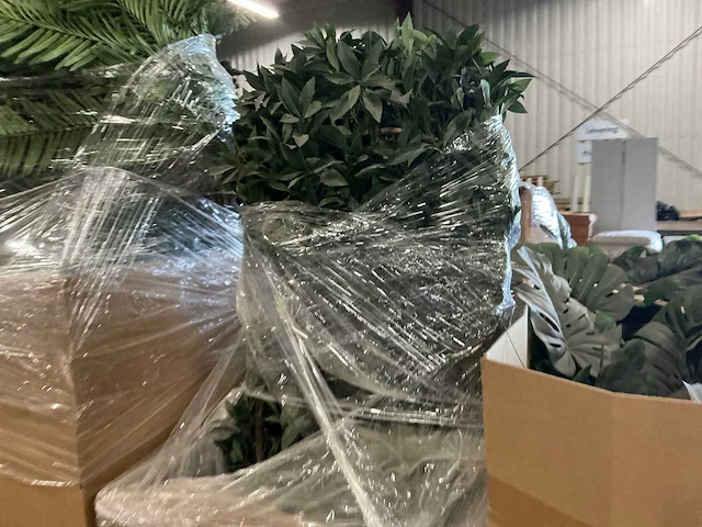 Kunststof planten - afbeelding 3 van  7