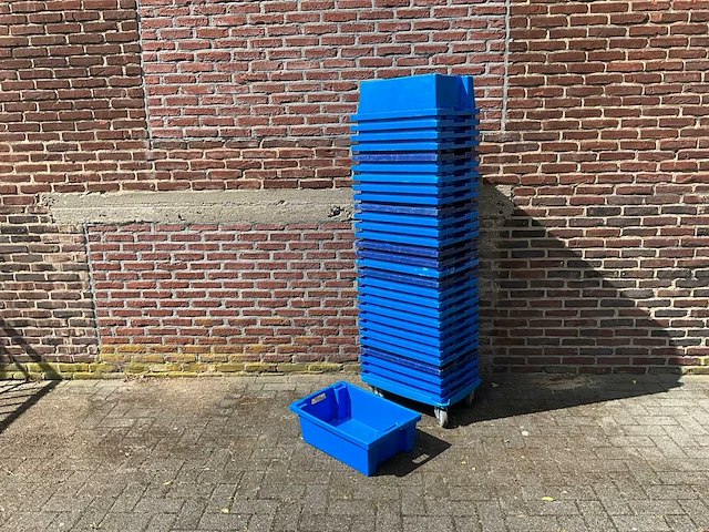 Kunststof stapelbakken (30x) - afbeelding 1 van  6