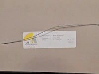 Kunstwerk maya wildevuur (1944-2023), compositie - afbeelding 8 van  8