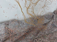 Kunstwerk op glas " wild horse " jonathan antony barber - afbeelding 5 van  6