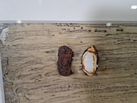 Kunstwerk op lijst - afbeelding 3 van  8
