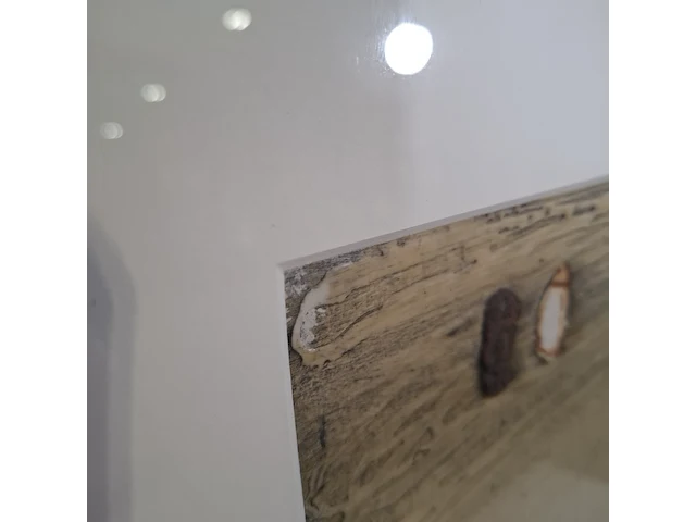 Kunstwerk op lijst - afbeelding 5 van  8