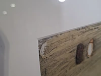 Kunstwerk op lijst - afbeelding 5 van  8