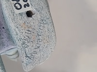 Kunstwerk, r. thöne, vogel floris - afbeelding 6 van  7