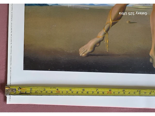 Kunstwerk salvador dali - afbeelding 3 van  61
