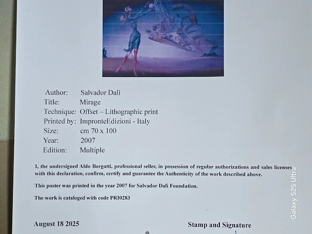 Kunstwerk salvador dali - afbeelding 9 van  61