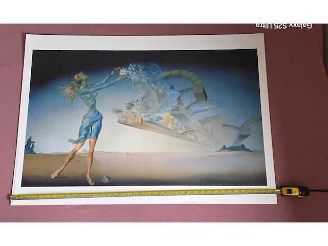 Kunstwerk salvador dali - afbeelding 1 van  61