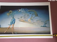 Kunstwerk salvador dali - afbeelding 1 van  61