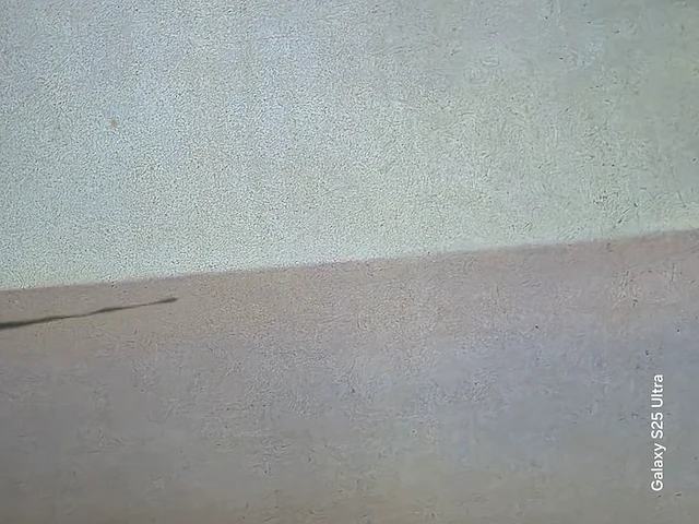 Kunstwerk salvador dali - afbeelding 17 van  61