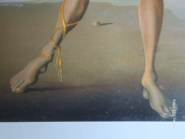 Kunstwerk salvador dali - afbeelding 20 van  61