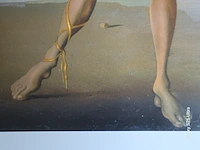 Kunstwerk salvador dali - afbeelding 20 van  61