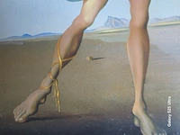 Kunstwerk salvador dali - afbeelding 21 van  61