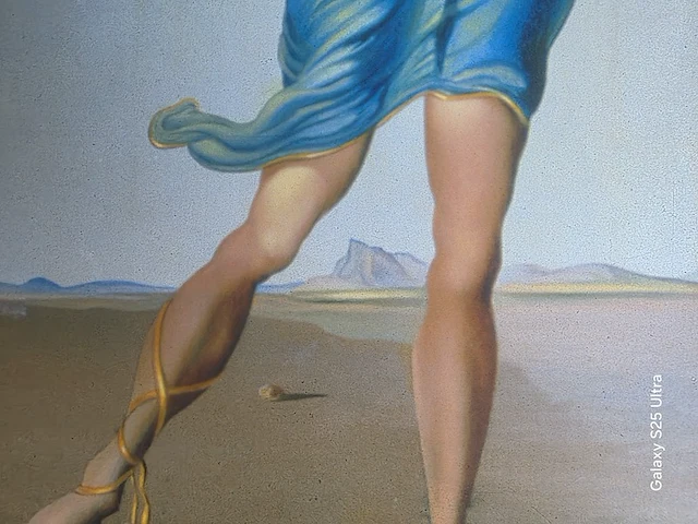 Kunstwerk salvador dali - afbeelding 22 van  61