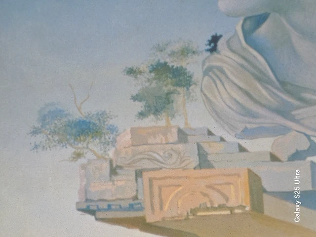 Kunstwerk salvador dali - afbeelding 12 van  61