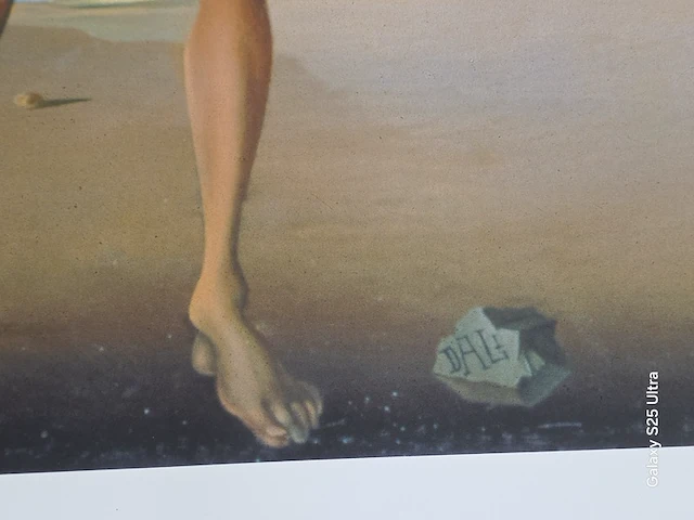 Kunstwerk salvador dali - afbeelding 48 van  61
