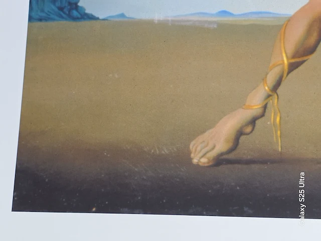 Kunstwerk salvador dali - afbeelding 49 van  61