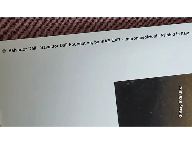 Kunstwerk salvador dali - afbeelding 52 van  61