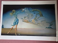 Kunstwerk salvador dali - afbeelding 53 van  61