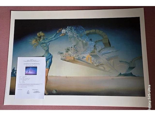 Kunstwerk salvador dali - afbeelding 54 van  61