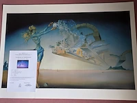 Kunstwerk salvador dali - afbeelding 54 van  61