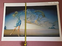 Kunstwerk salvador dali - afbeelding 61 van  61
