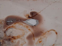 Kunstwerk, theo kley, het spel der wijzen, 1966 - afbeelding 6 van  10