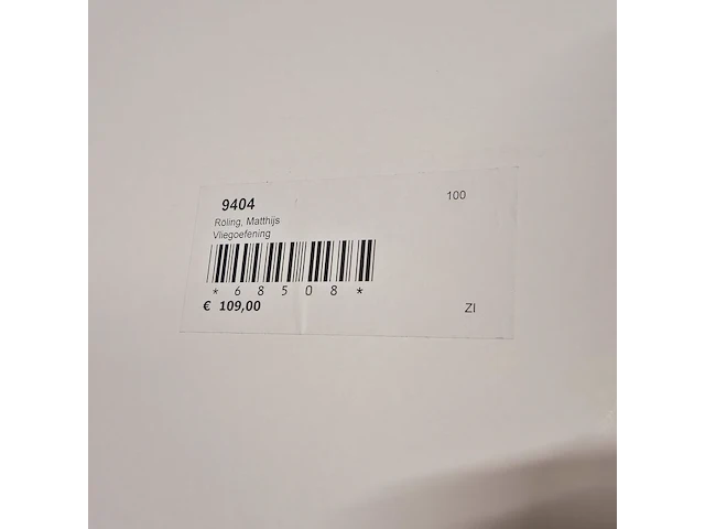 Kunstwerk van kunstenaar matthijs röling - ''vliegoefening'' - afbeelding 2 van  5