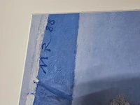 Kunstwerk van kunstenaar matthijs röling - ''vliegoefening'' - afbeelding 5 van  5