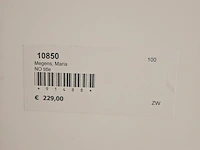 Kunstwerk van kunstenares maria megens - ''rode lucht'' - afbeelding 5 van  5