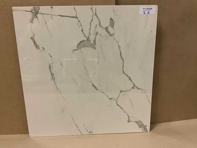 Kutahya albatros gepolijst 60x60 cm vloertegel 54 m² - afbeelding 3 van  3