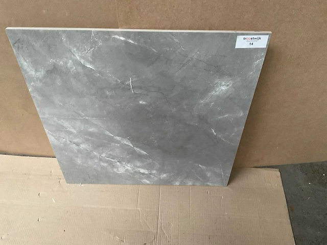 Kutahya elegant grijs gepolijst 60x60 cm tegel 108 m² - afbeelding 2 van  4