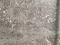 Kutahya porfir vizon mat vloertegel 60x120 cm 120,96 m² - afbeelding 1 van  4